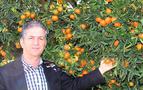 Rusya krizi narenciye ambarı konumundaki Adana'yı vurdu