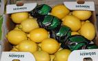 Rusya gerilimi limonu vurdu