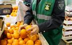 Rusya 24 ton mandalina daha Türkiye’ye iade etti