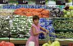 "Türkiye, Rusya'nın gıda talebini karşılayacak potansiyele sahip"