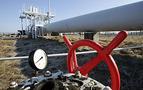 Kırgızistan-Özbekistan arasında doğal gaz gerginliği