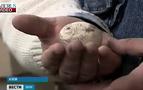 Rusya’da 600 yıllık yumurta bulundu