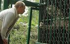 Putin, Leopar’ı uzaktan sevdi