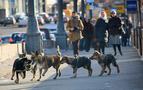 Rusya’da bin köpek öldüren şahıs hakim karşısında