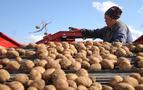 Rusya’da patates gazı bir aileyi yok etti