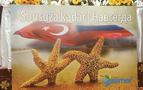 Bir asırlık dostlar: Türkiye-SSCB/Rusya - YORUM