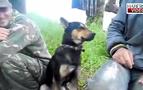 Uykusuzluktan ayakta uyuyan köpek herkesi güldürdü