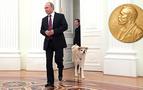 Putin, Nobel Barış Ödülü'ne aday gösterildi
