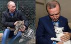 Der Spiegel: Erdoğan ve Putin, Maço Maçoyu yendi