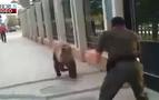 Kaçmak isteyen ayıyı vatandaşlar kıskıvrak yakaladı