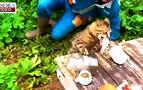 Rus balıkçı balığını kediye kaptırdı