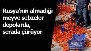 Rusya'ya yapılan sebze meyve ihracatı yüzde 90 geriledi