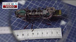 Rus bilim insanları robot hamam böceği üretti