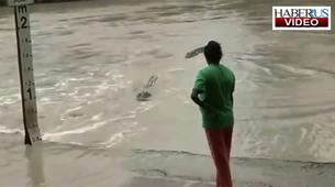 Timsahı terlikle kovaladı - VIDEO