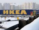 IKEA'dan Rusya'ya dev yatırım bütçesi