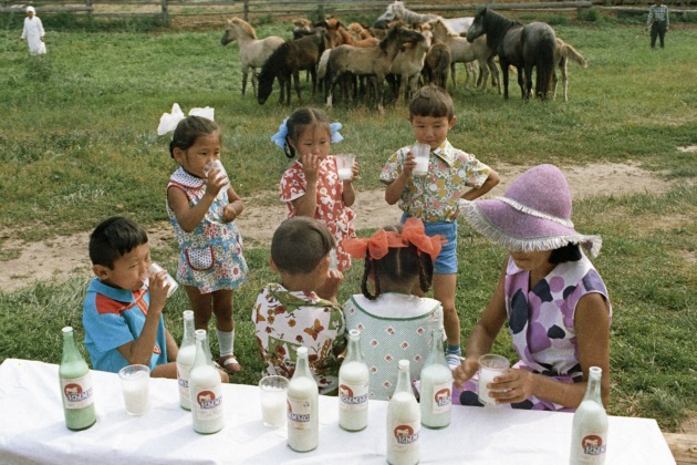 Başkırtlar sağlıklı yaşam için kımız içiyor 