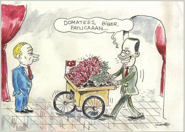 resim tanımı girin