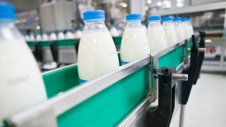 Sütaş'tan açıklamada: Rusya'nın tavrını hayretle karşıladık, ürünlerimizde antibiyotik yok